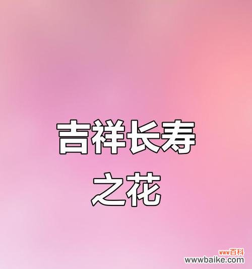 长寿大花象征什么？长寿大花的美好寓意句子有哪些？