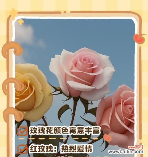 道具玫瑰花各种颜色的寓意是什么?如何选择颜色代表特定情感?