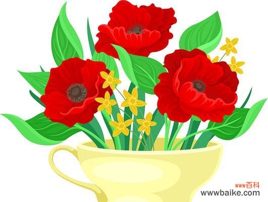 红色和黄色花搭配有何寓意？它们象征着什么？