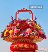 哪些花象征健康？如何选择寓意健康的花篮？