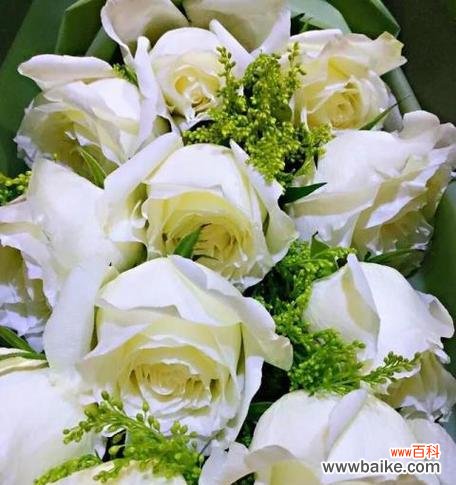 白色花搭配哪种花寓意最佳?白色花的搭配技巧是什么?