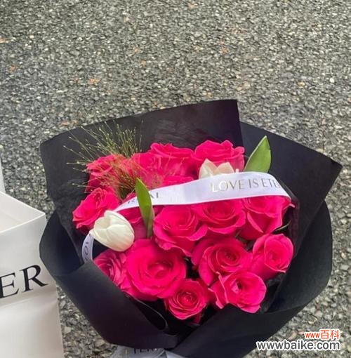 龙游梅红色代表什么花语?