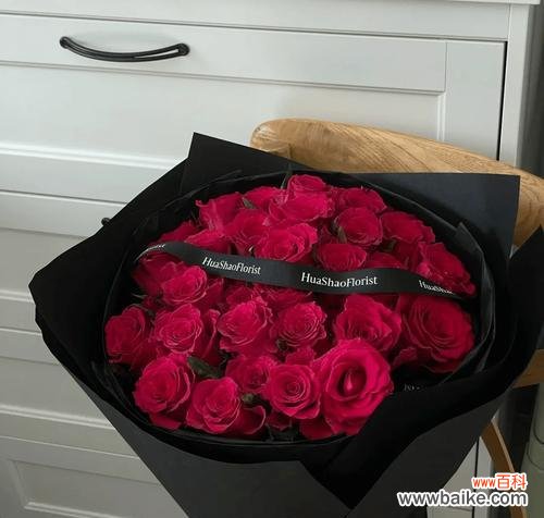 龙游梅红色代表什么花语?