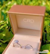 DR幸福捧花钻戒寓意什么？捧花钻戒选择指南？