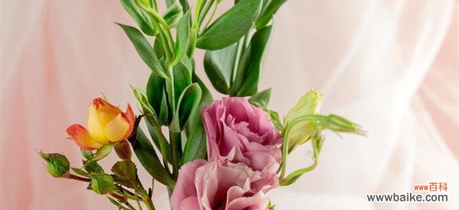 解读桔梗花的深意 桔梗花花语探秘