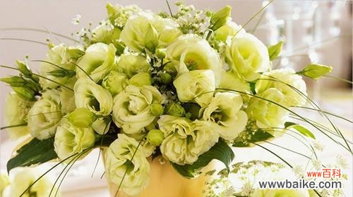 桔梗花语的美丽寓意与传承 桔梗花语的象征意义