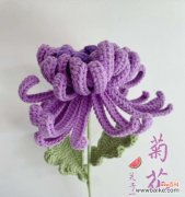 菊花所传达的爱情信息与心意 菊花的花语与寓意