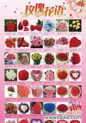 菊花所传达的爱情信息与心意 菊花的花语与寓意