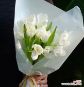 麦秸秆手捧花象征着什么？