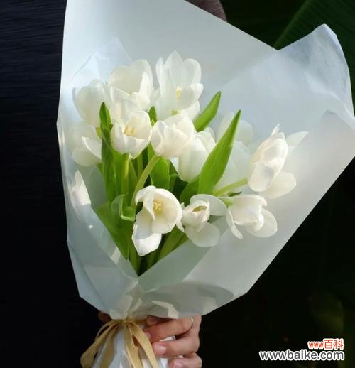 麦秸秆手捧花象征着什么？