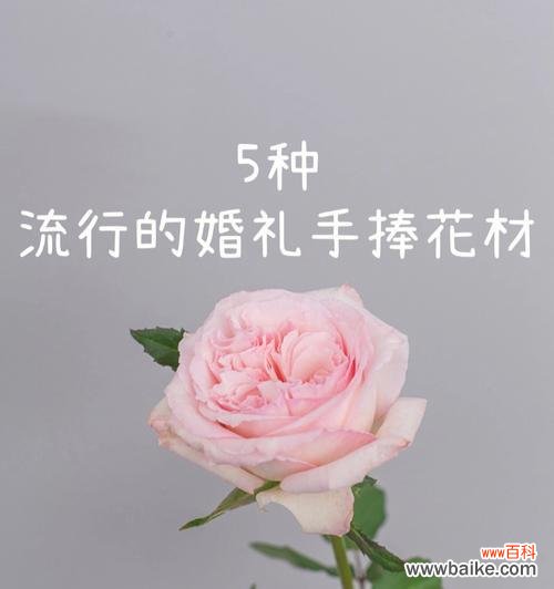麦秸秆手捧花象征着什么？