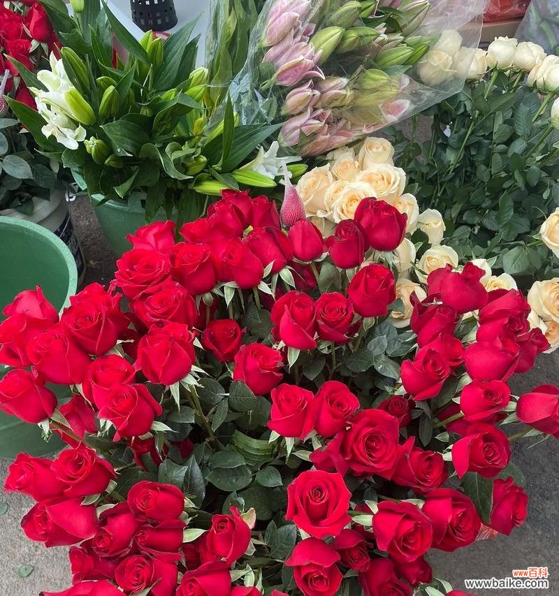 哪种花象征着平安顺遂？