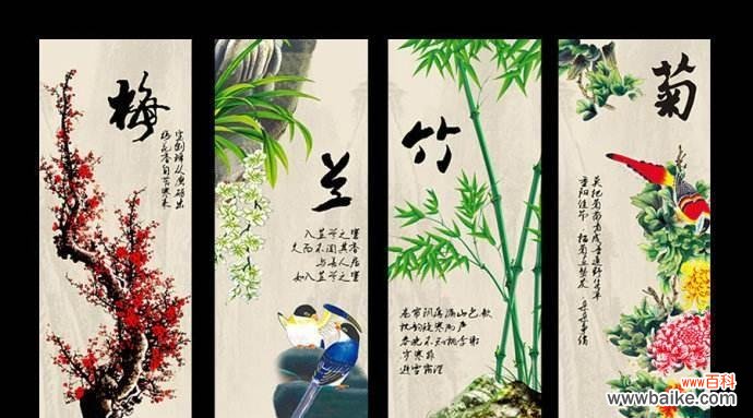 探寻君子兰的深层含义 以君子兰的花语为主题的文章