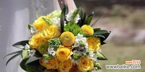 瀑布手捧花的寓意和象征是什么？它传递了哪些信息？