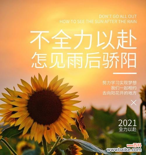 向阳花的文化含义是什么?