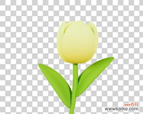 米黄色花的象征意义是什么?