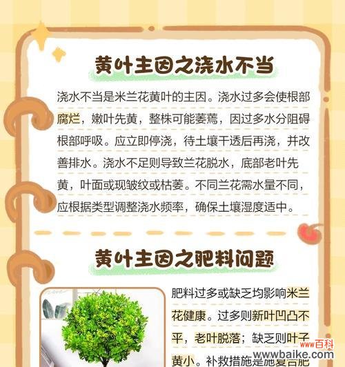 米黄色花的象征意义是什么?