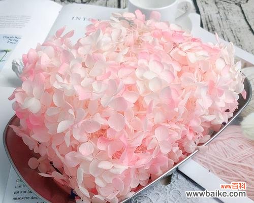 彩色永生花有什么寓意?彩色永生花的含义是什么?