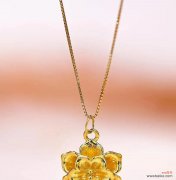 人间富贵花的象征意义有哪些？它们代表了什么？