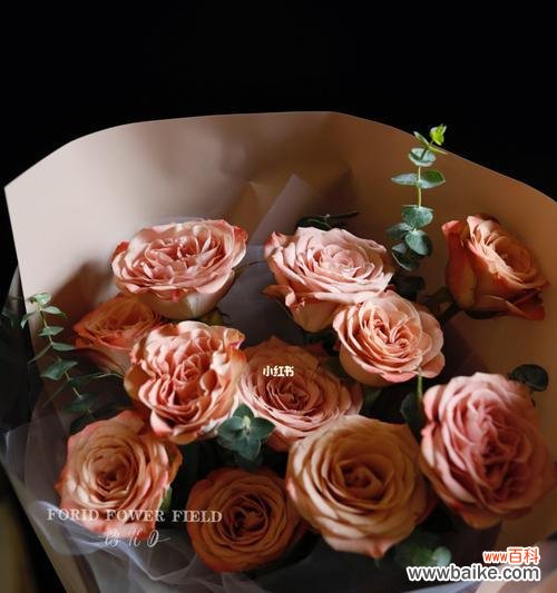 浓情岁月 卡布奇诺玫瑰的花语