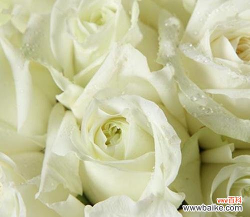 银白色丝带束花有什么特别的含义？