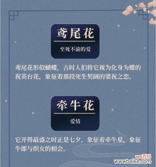 哪种花的花语是祝福兄弟?