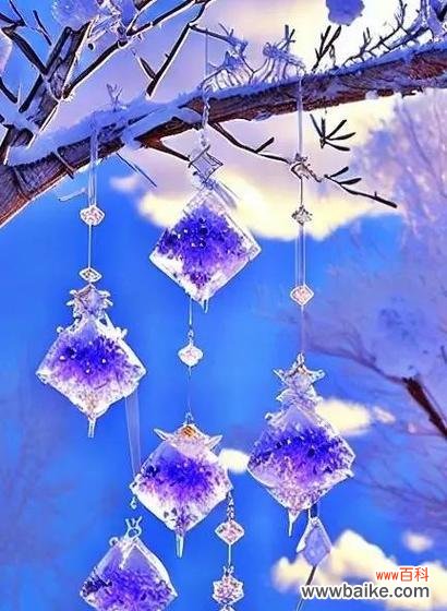 彩色风铃花的寓意和象征是什么？彩色风铃花代表什么？