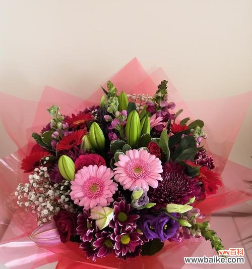 送长辈什么花代表好运?长辈生日送花的寓意有哪些?