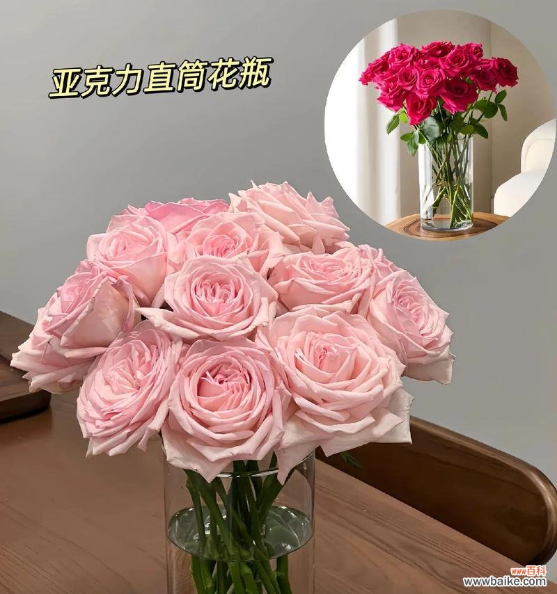 不同色调的花瓶花的寓意是什么？如何根据颜色选择花瓶花？