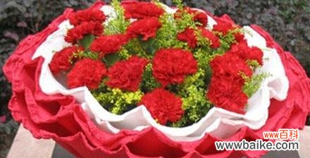 康乃馨的特点与象征意义 康乃馨——优雅与纯洁的象征