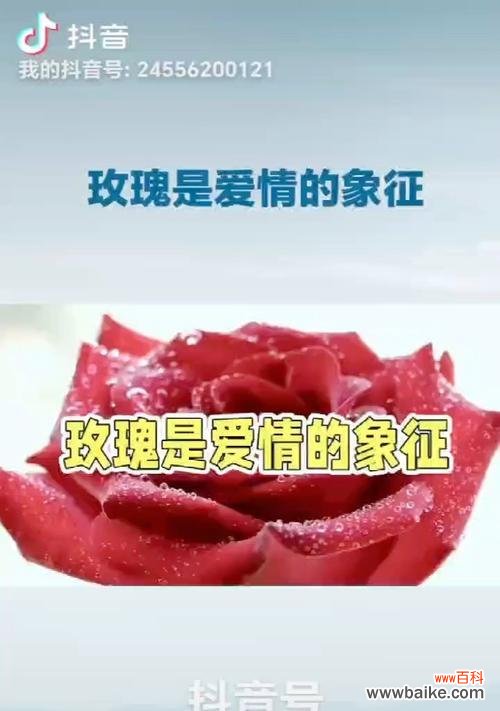 35朵玫瑰代表什么爱情意义？