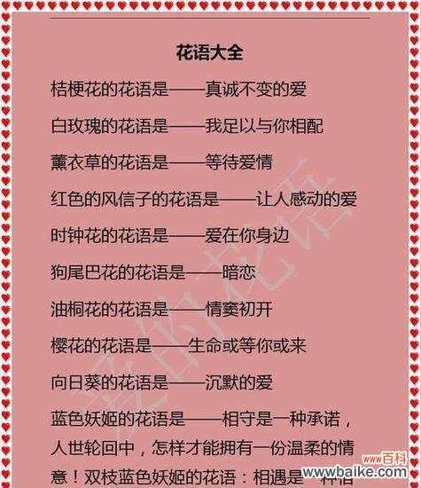 每个季节的花有什么寓意？不同季节的花语有哪些？