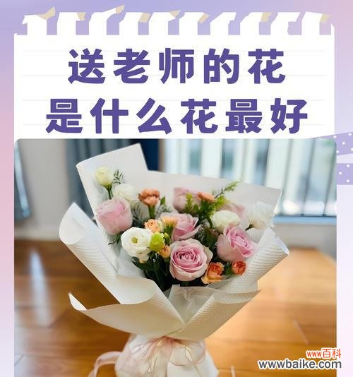 送小孩寓意健康的花有哪些？