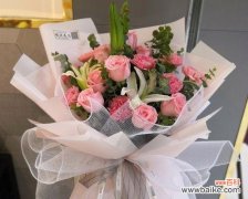 送长辈什么花合适？花的含义是什么？