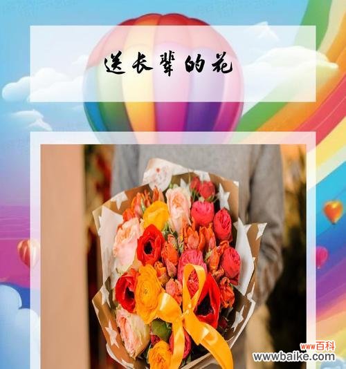 送长辈什么花合适？花的含义是什么？