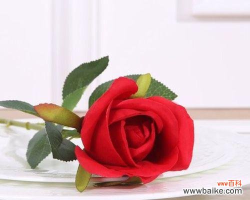 一朵红色花在花束中代表什么寓意？