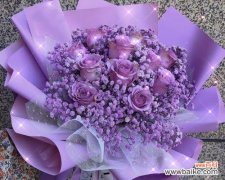 揭开紫色满天星的花语之谜，传达神秘与浪漫的信息 紫色满天星的花语——神秘与浪漫