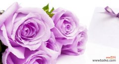 探寻紫色玫瑰背后的深意 紫色玫瑰的寓意与花语
