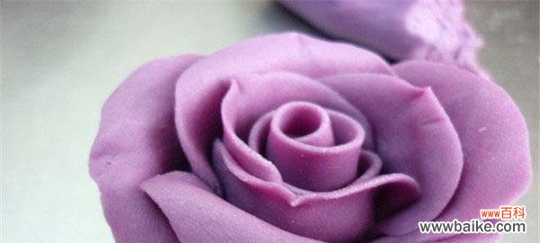 探寻紫色玫瑰背后的情感与象征 紫色玫瑰的花语与意义