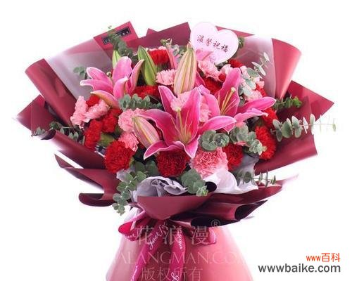 深入解读康乃馨花的意义 康乃馨花的象征意义及文化价值