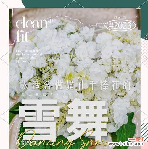 花束绣球手捧花代表什么？它的寓意是什么？