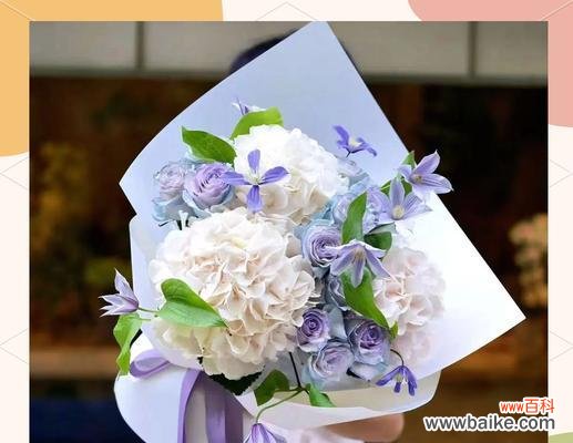 花束绣球手捧花代表什么？它的寓意是什么？