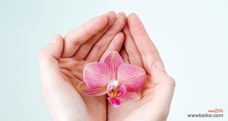 手捧花与兰花搭配的寓意是什么？
