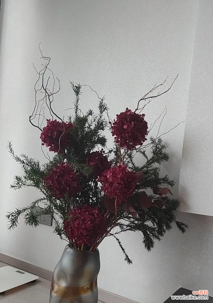 哪种花象征富贵和团圆？