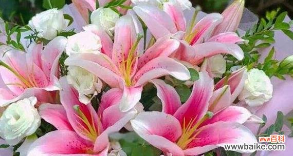 国庆节适合送哪种花？