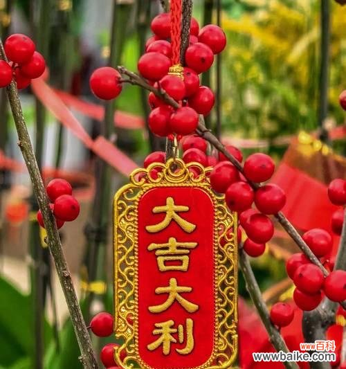 春节期间有哪些寓意吉祥的花?