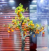 节气送一盆花代表什么？节气送一盆花的寓意是什么？