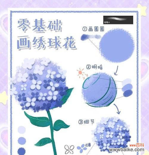绣球花各色的含义是什么?绣球花的含义是什么?