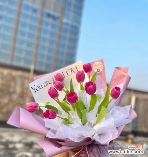 深情不变，永恒的祝福 紫色郁金香花语-寓意与传承