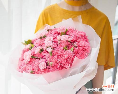 用康乃馨表达深情 康乃馨的象征意义与传递情感的艺术